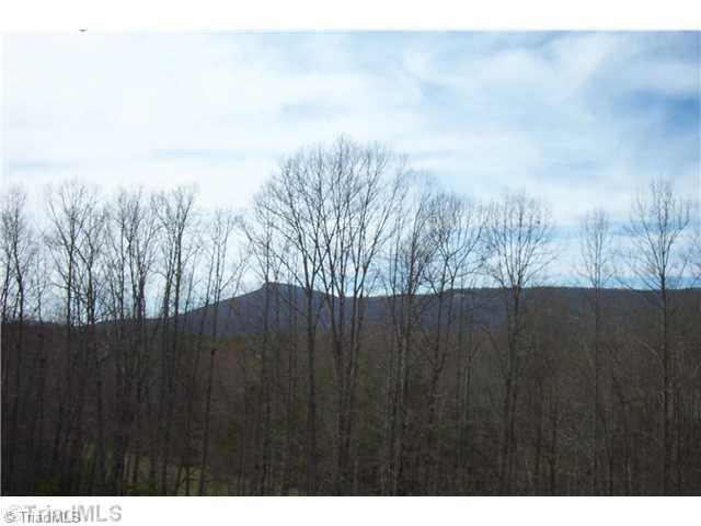 1045 Robin Road Walnut Cove, NC 27052 - Photo 3 of 13 Other. View