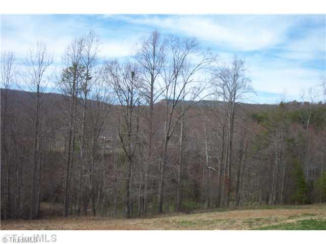 1045 Robin Road Walnut Cove, NC 27052 - Photo 4 of 13 Other. View #2