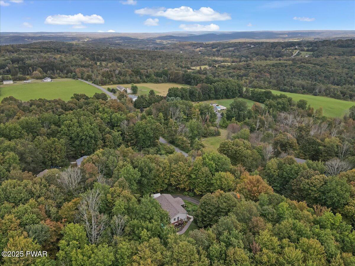 76 Bortree Road Moscow, PA 18444 - Photo 43 of 45 Ariel