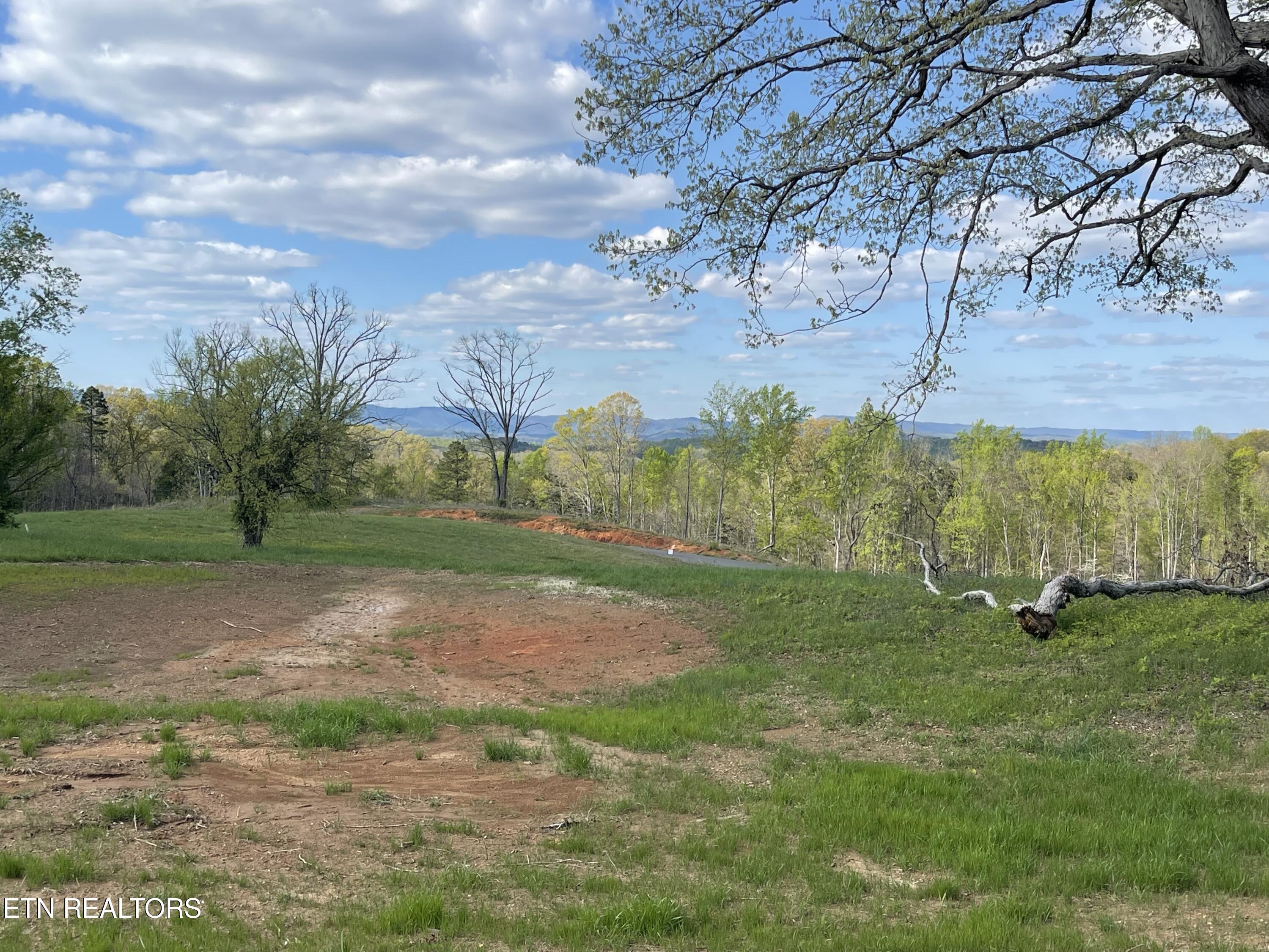 Lot 5 Laura Boling Loop Road Strawberry Plains, TN 37871 - Photo 1 of 4 EB0CFD71-8A1C-475E-9222-0ECBABB3EA96