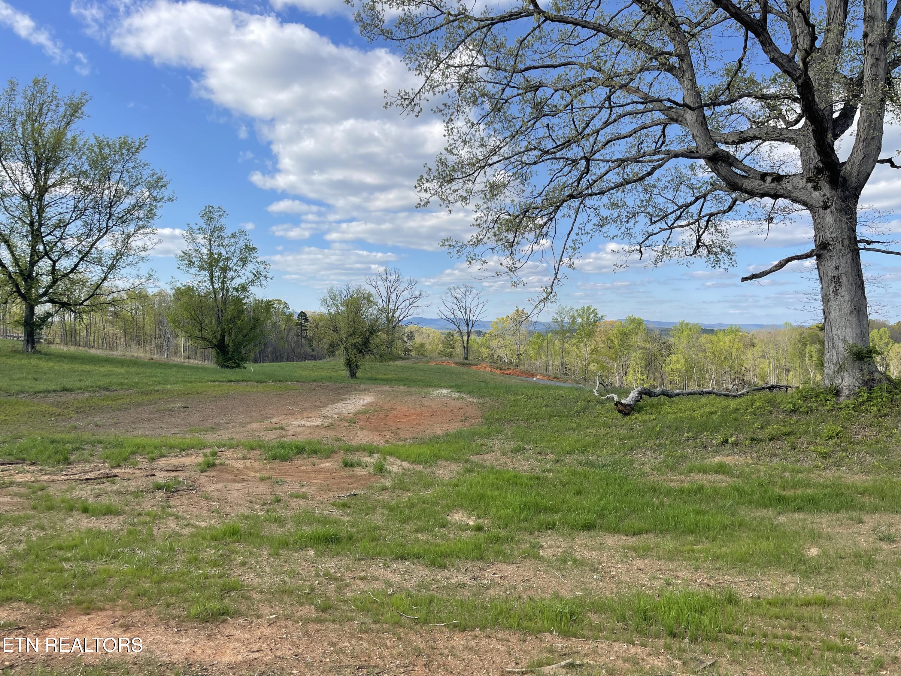Lot 5 Laura Boling Loop Road Strawberry Plains, TN 37871 - Photo 2 of 4 C2D984BA-8956-44CD-A23B-DBEA60E39D7F