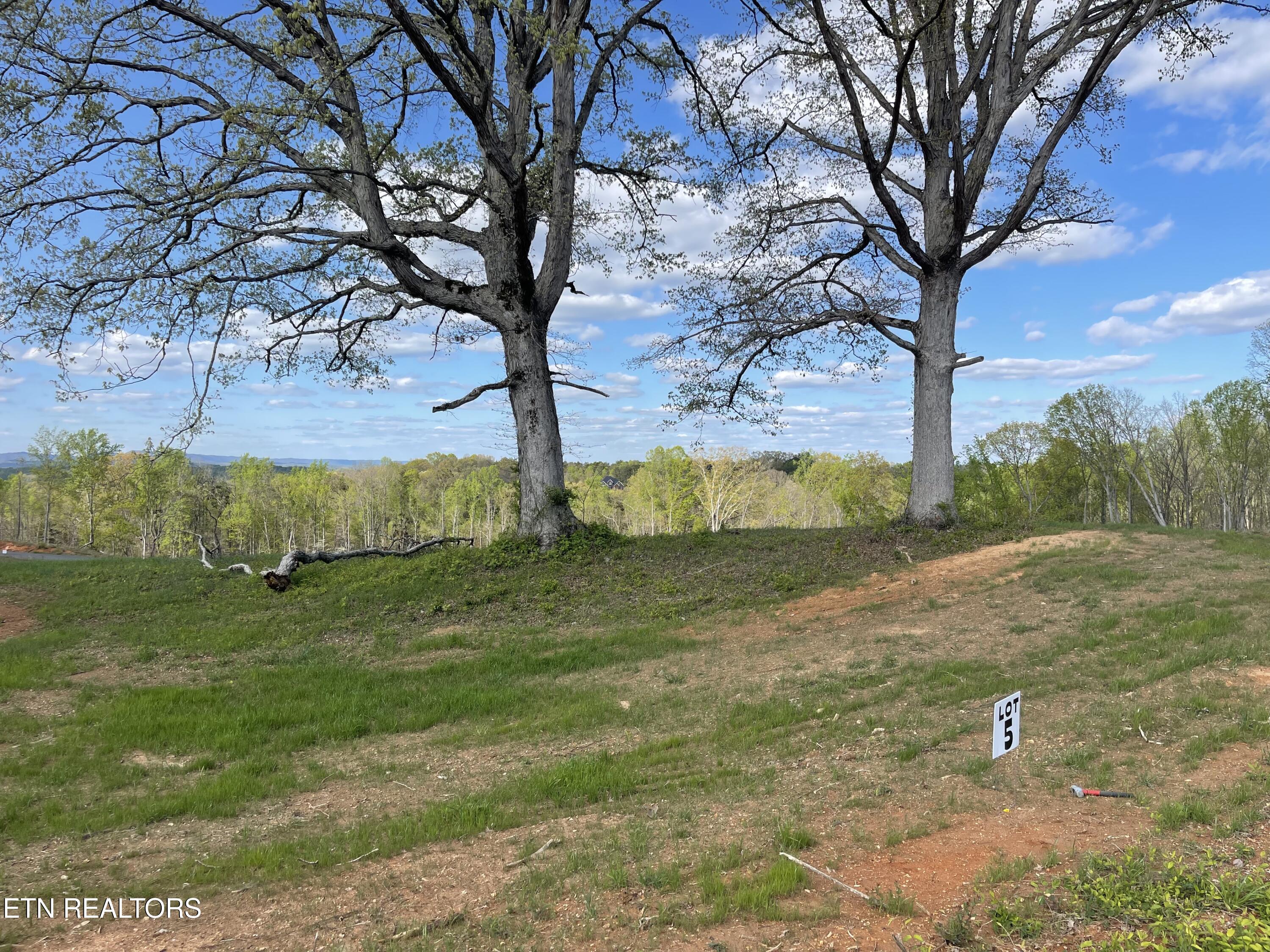 Lot 5 Laura Boling Loop Road Strawberry Plains, TN 37871 - Photo 3 of 4 C02968A7-3805-45F7-98C4-BBAC0C735C8D