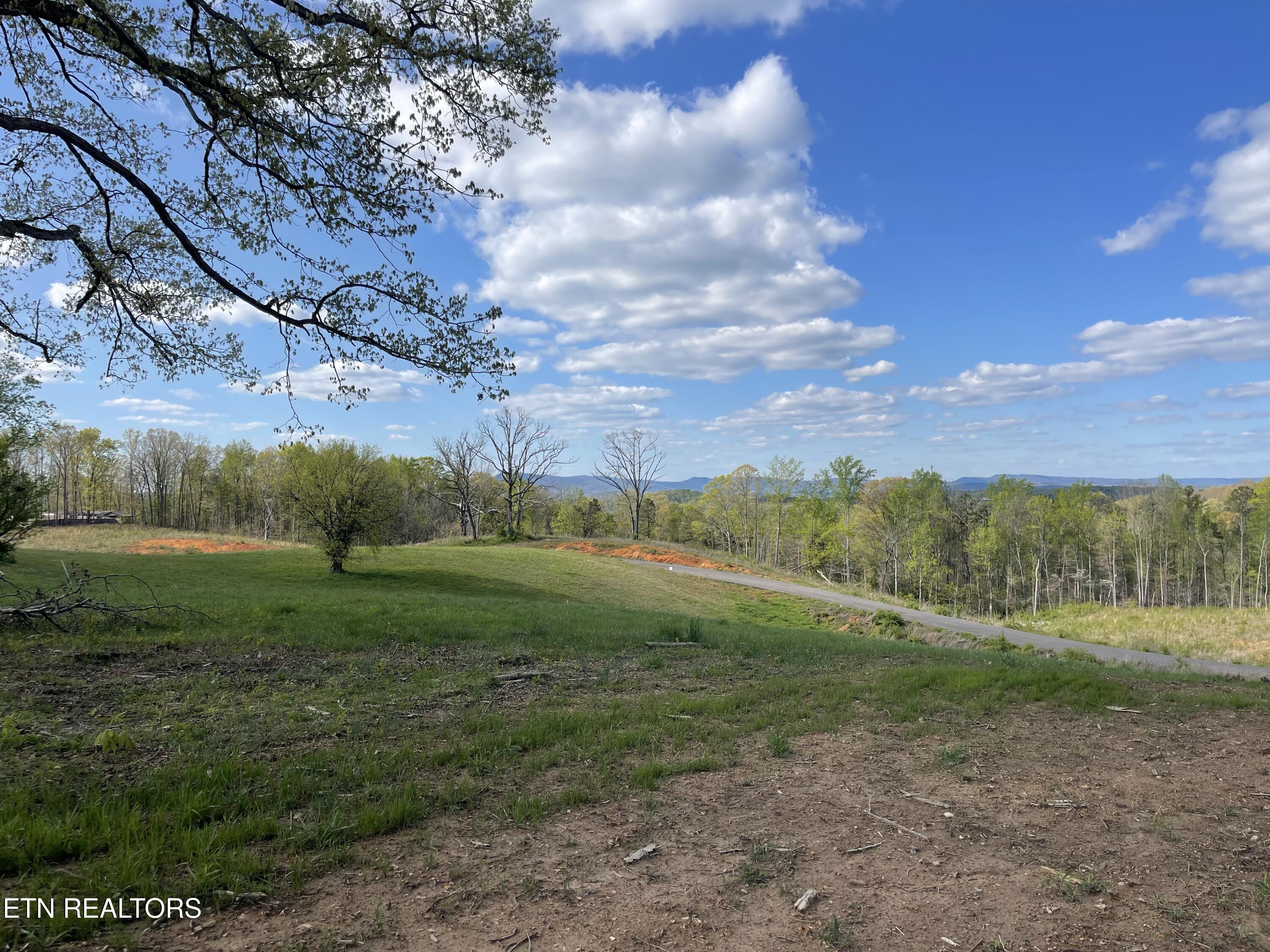 Lot 5 Laura Boling Loop Road Strawberry Plains, TN 37871 - Photo 4 of 4 AF483E7F-FC6D-475E-ADFB-4428ACF33DC5