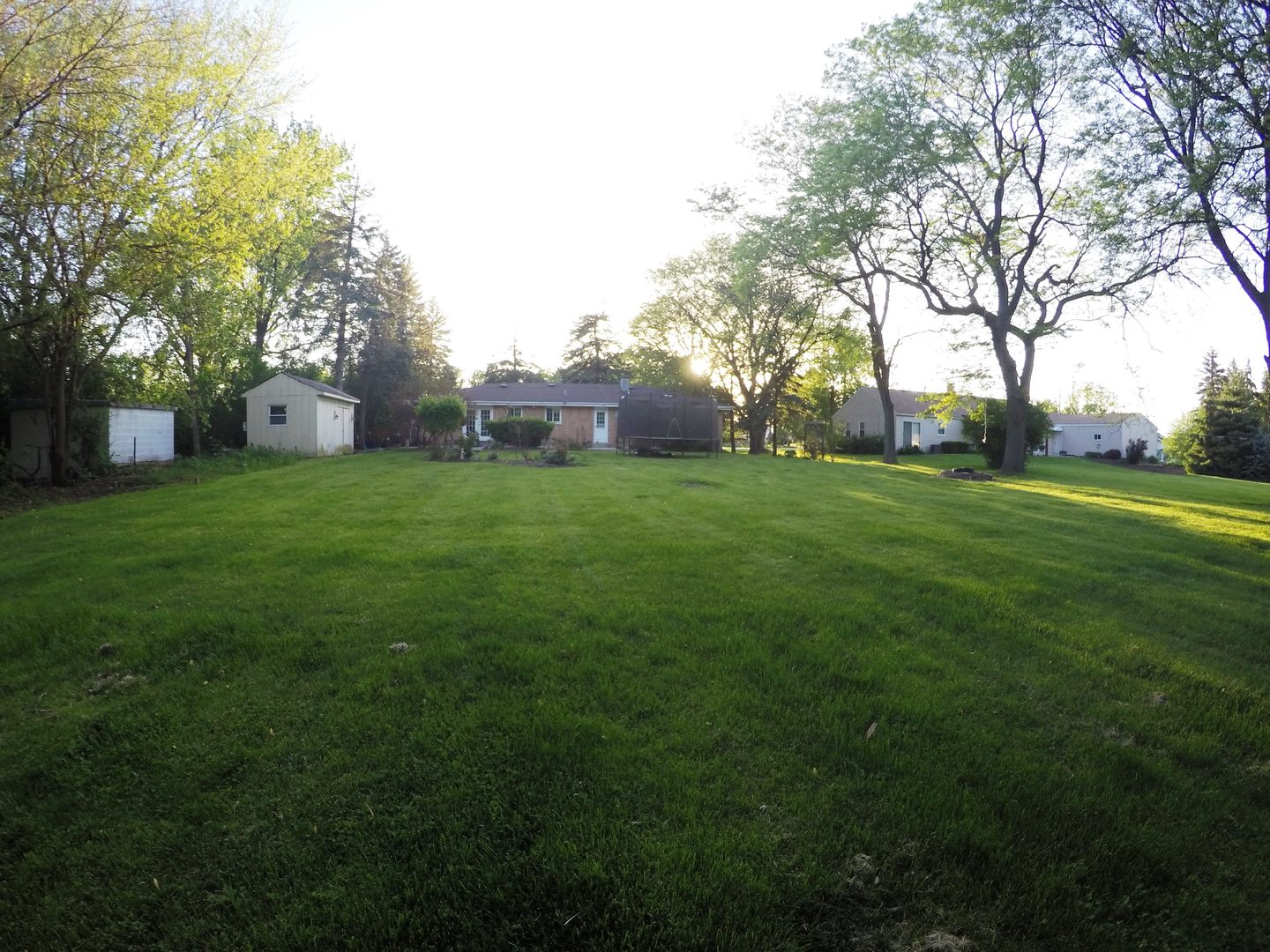 3N445 Rohlwing Road Addison, IL 60101 - Photo 18 of 19 a big yard with large trees