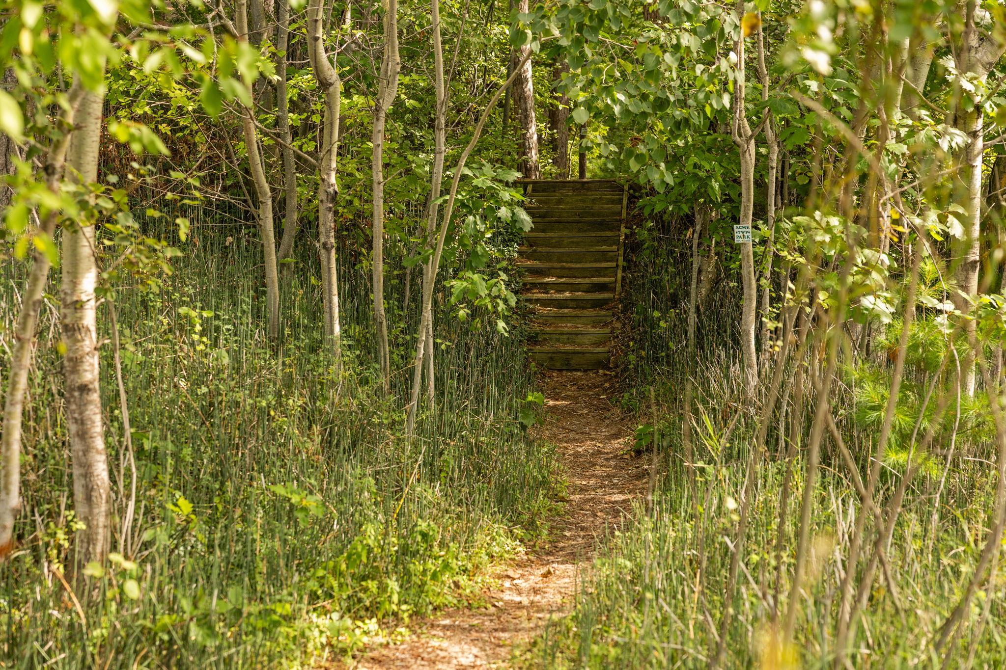 7380 Deepwater Point Road Williamsburg, MI 49690 - Photo 73 of 86 1950629-de01ee7c-2b81-4a20-ac89-bc5ecd7937ae.JPG