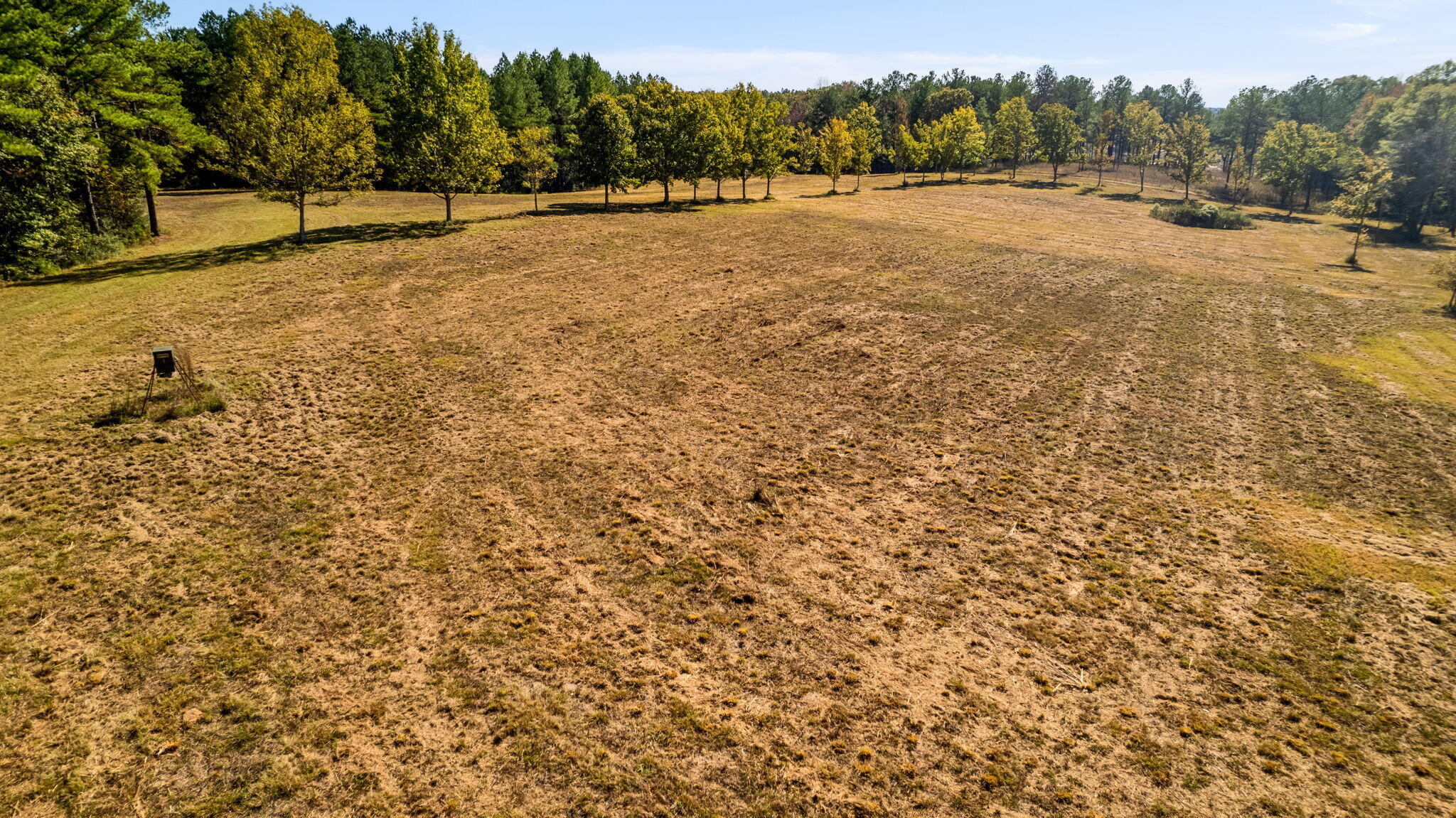 363 Rockhill To Lumberton Road Purvis, MS 39475 - Photo 23 of 71 Gallery Image 23