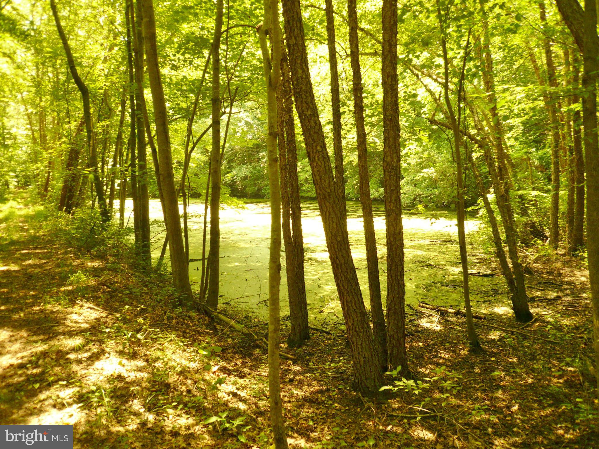 1150 Cox Road Huntingtown, MD 20639 - Photo 8 of 9 Pond