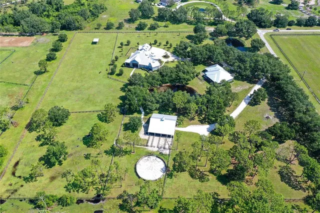 a view of a park with large trees and a pathway