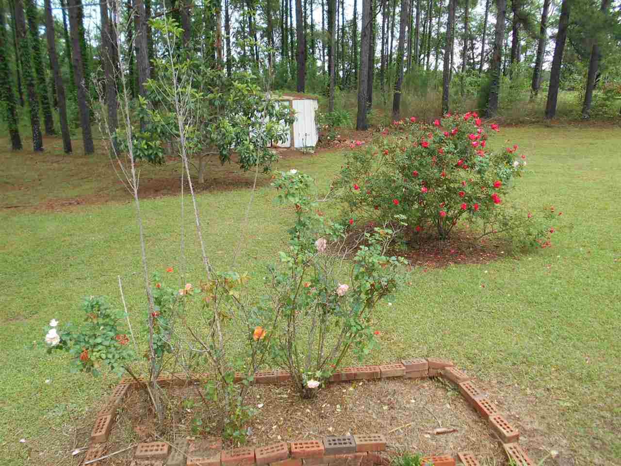 149 Quail Ridge Havana, FL 32333 - Photo 11 of 13 Gallery Image 11
