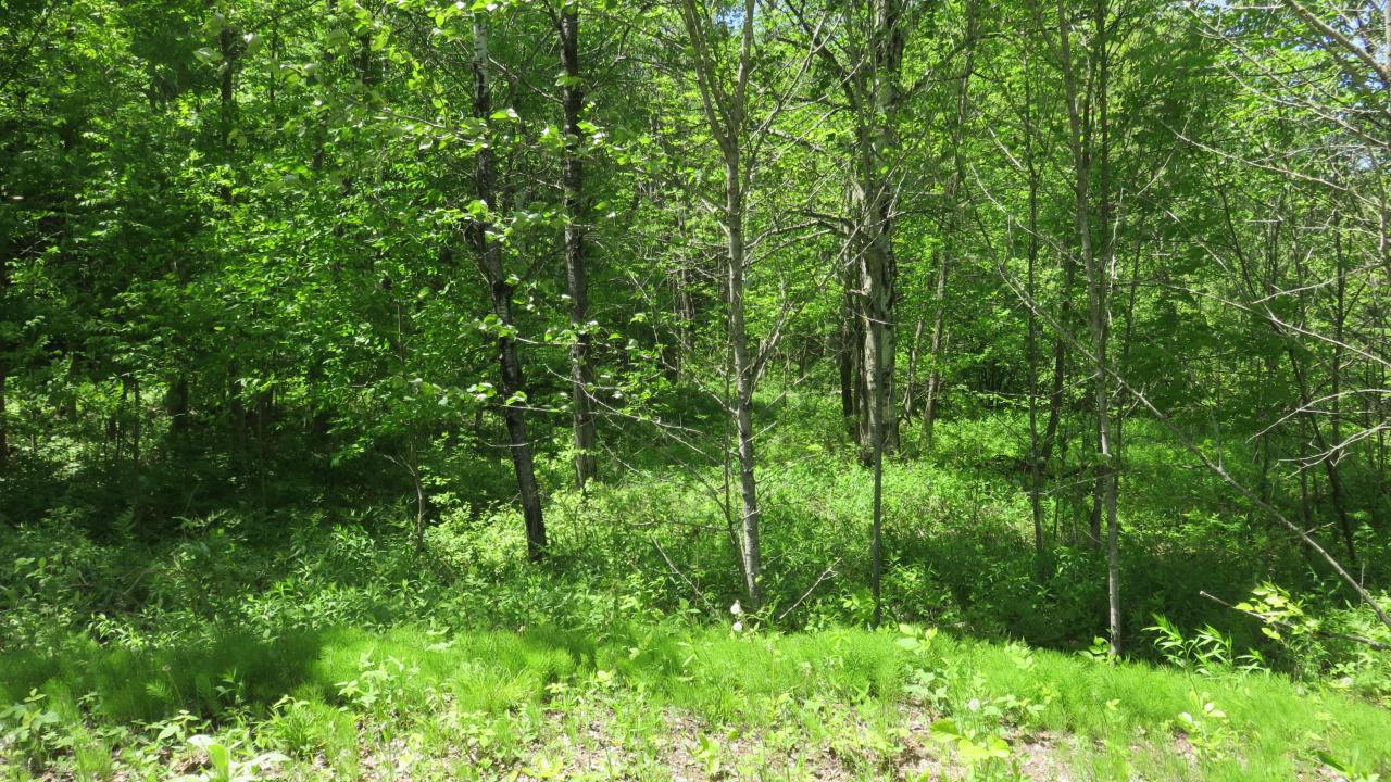 Lot On Townsite Road Presque Isle, WI 54557 - Photo 30 of 36 Gallery Image 30