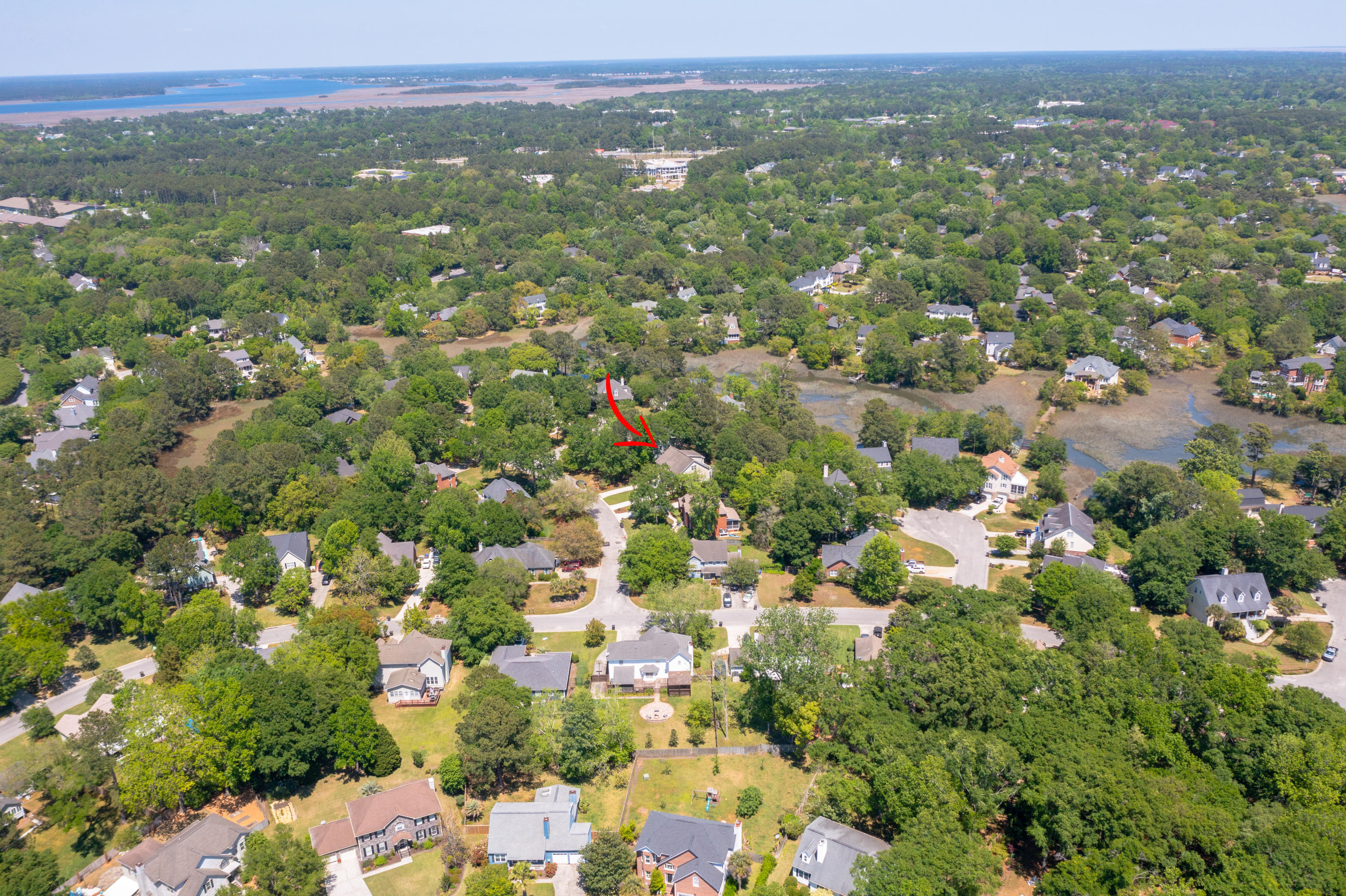 361 Stringer Alley Mount Pleasant, SC 29464 - Photo 59 of 84 DJI_0850 arrow