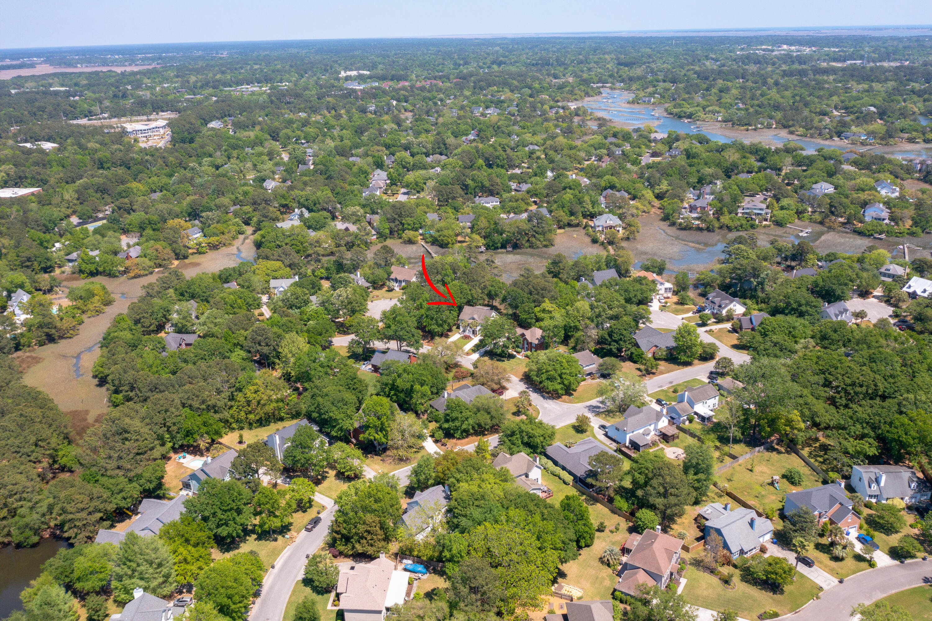 361 Stringer Alley Mount Pleasant, SC 29464 - Photo 60 of 84 DJI_0851 arrow