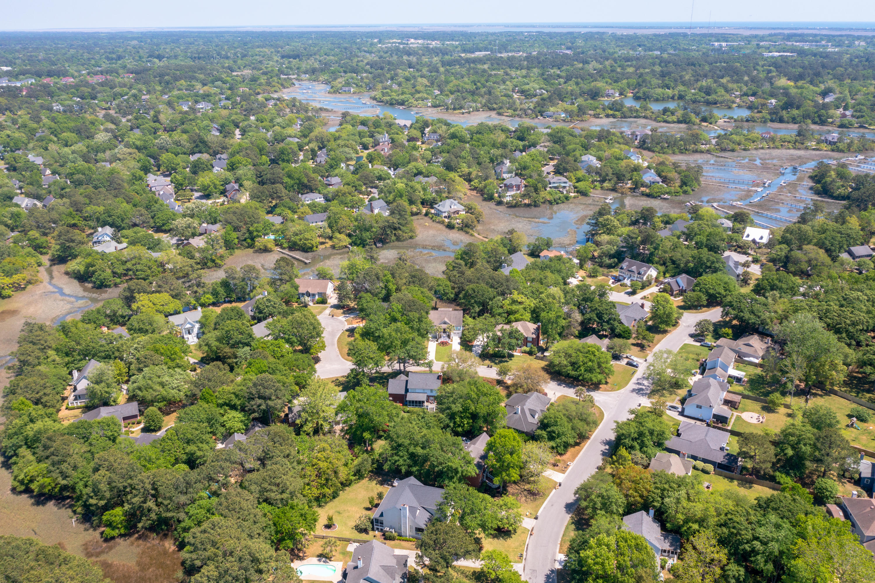 361 Stringer Alley Mount Pleasant, SC 29464 - Photo 67 of 84 DJI_0843