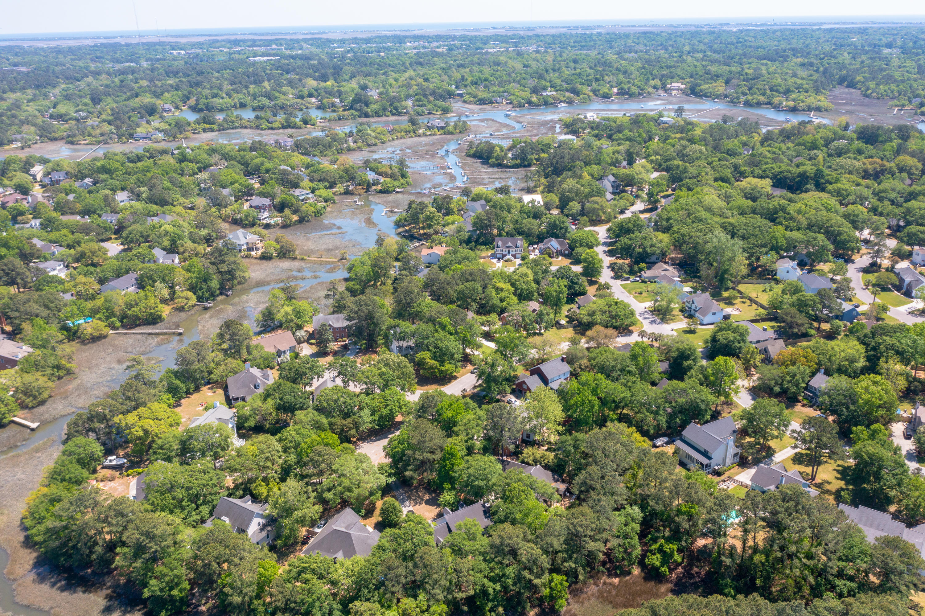 361 Stringer Alley Mount Pleasant, SC 29464 - Photo 68 of 84 DJI_0844
