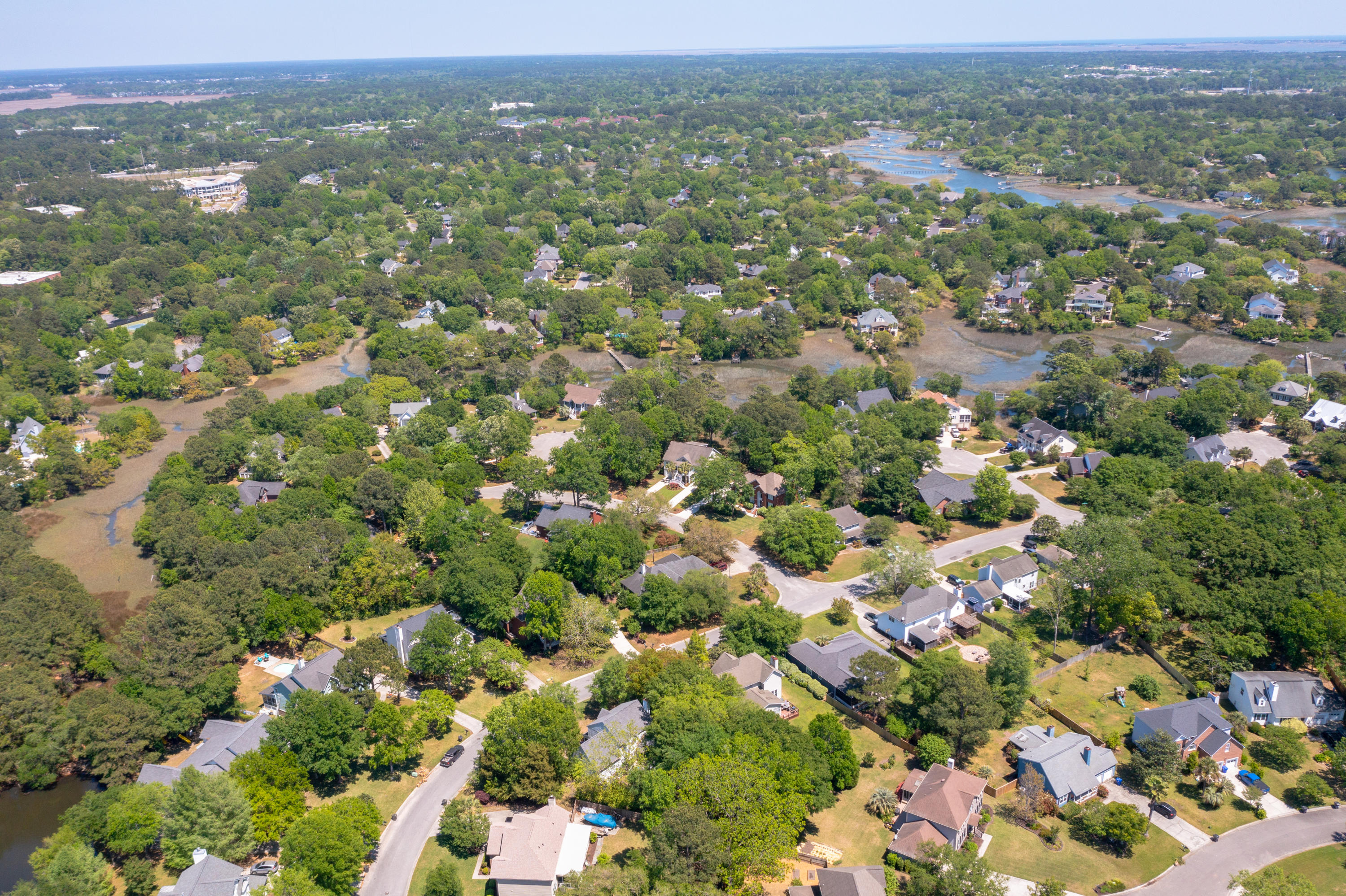 361 Stringer Alley Mount Pleasant, SC 29464 - Photo 75 of 84 DJI_0851
