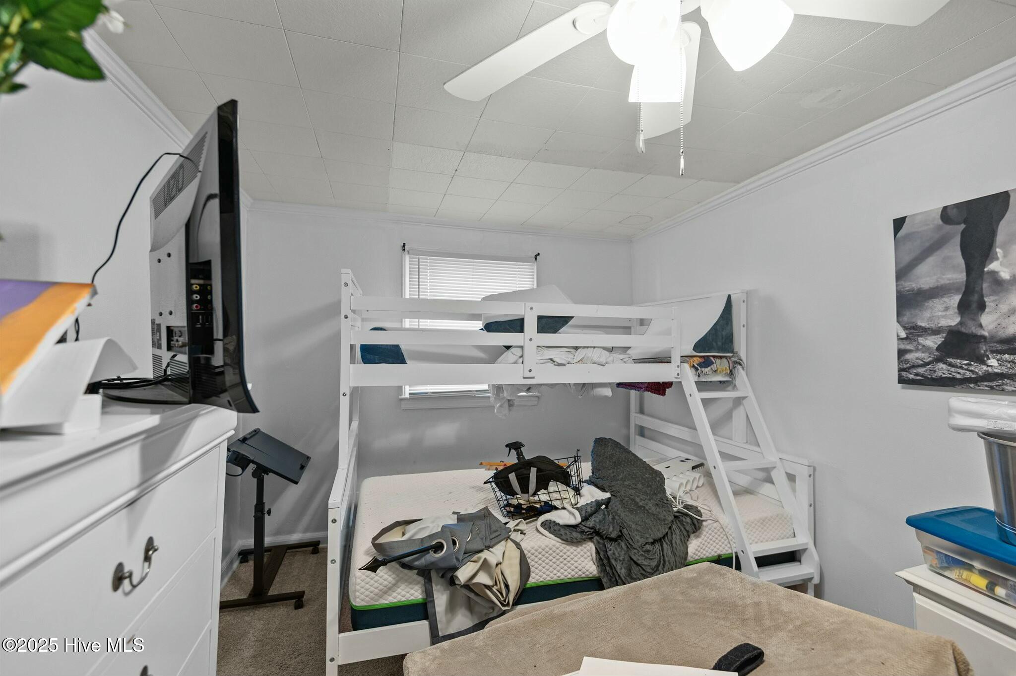 5635 McKendree Church Road Tarboro, NC 27886 - Photo 53 of 80 tempImageMGsSPj