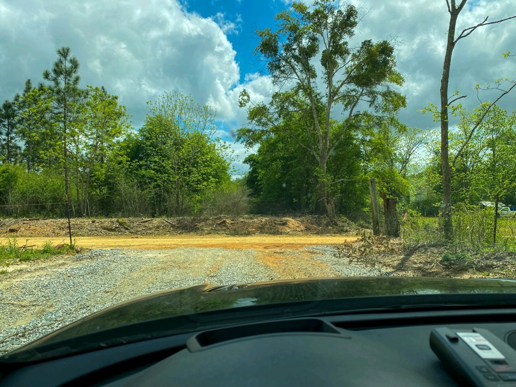 2776 New Hinson Road Slocomb, AL 36375 - Photo 3 of 12