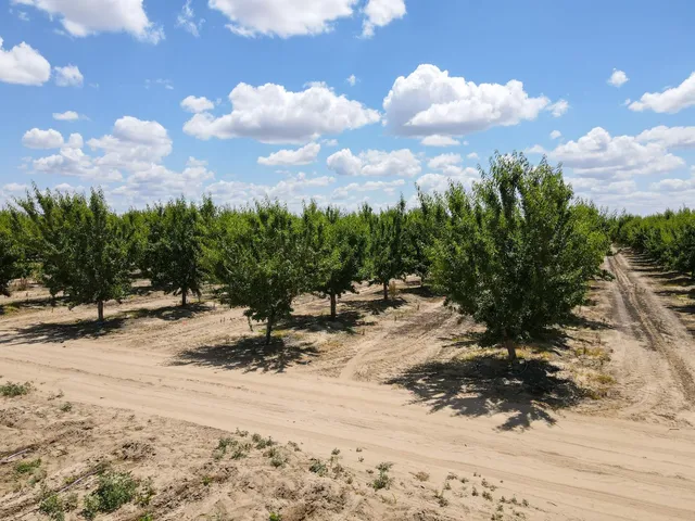 a view of a backyard of a house