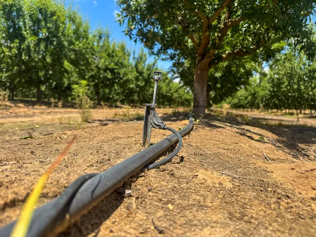 a view of a yard with wooden fence