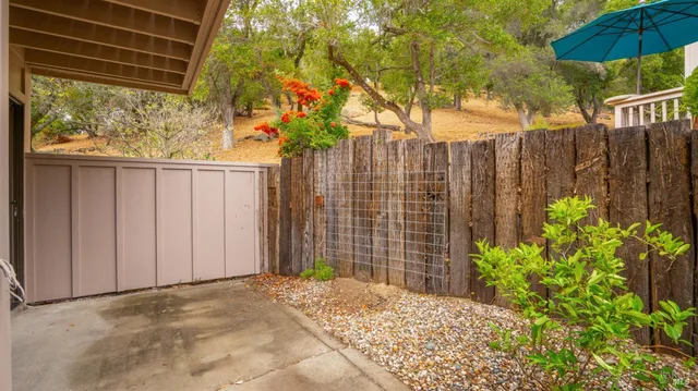 a view of a backyard with plants