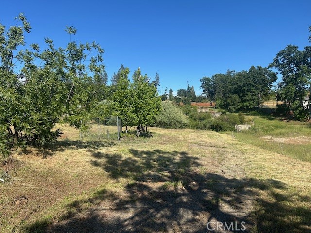 1017 Rochelle Lane Paradise, CA 95969 - Photo 2 of 6 a view of a field with an tree