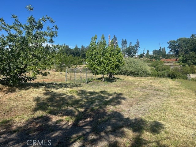 1017 Rochelle Lane Paradise, CA 95969 - Photo 3 of 6 a view of a yard with an trees