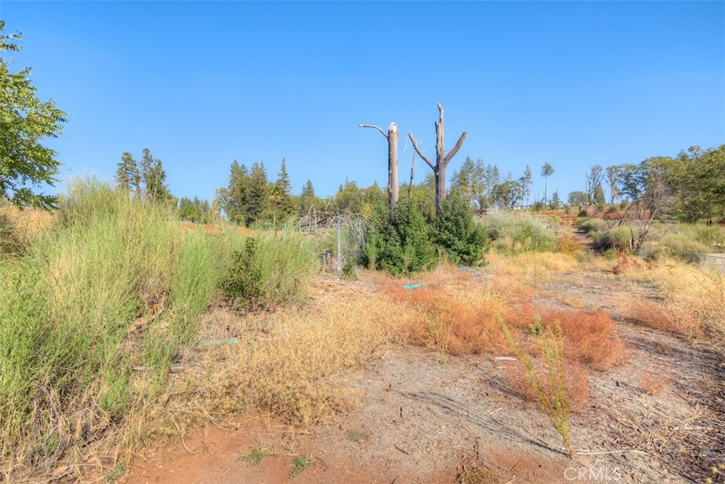 1017 Rochelle Lane Paradise, CA 95969 - Photo 3 of 9