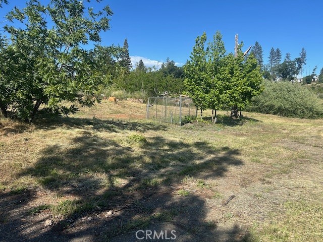 1017 Rochelle Lane Paradise, CA 95969 - Photo 4 of 6 a view of a yard with a tree