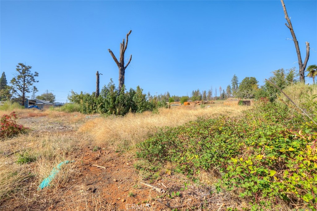 1017 Rochelle Lane Paradise, CA 95969 - Photo 4 of 9