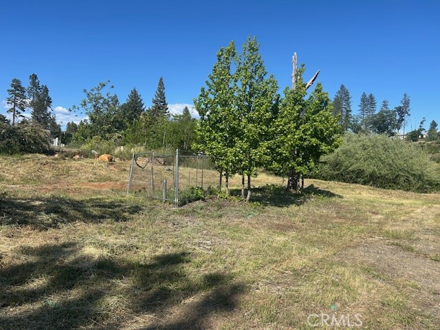 1017 Rochelle Lane Paradise, CA 95969 - Photo 5 of 6 a view of a yard with a tree