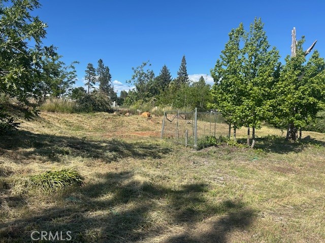 1017 Rochelle Lane Paradise, CA 95969 - Photo 6 of 6 a view of a yard with trees
