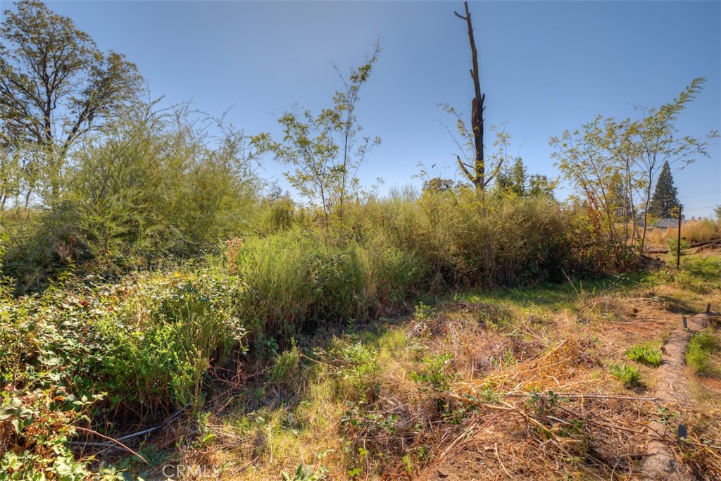 1017 Rochelle Lane Paradise, CA 95969 - Photo 9 of 9