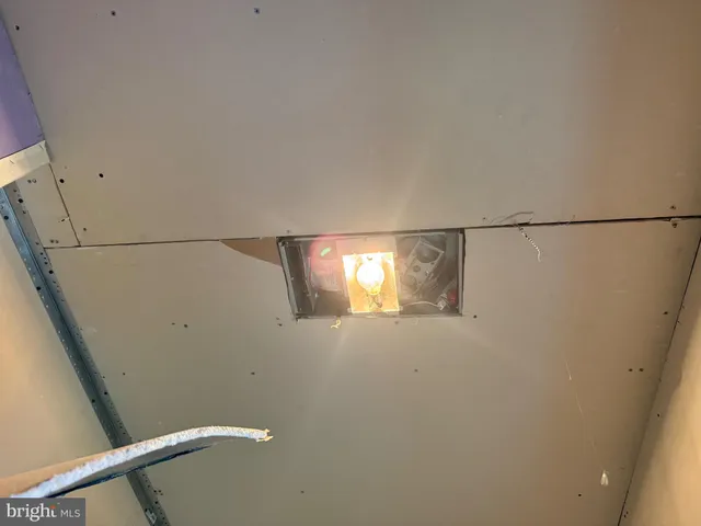 a two couches chair and a potted plant