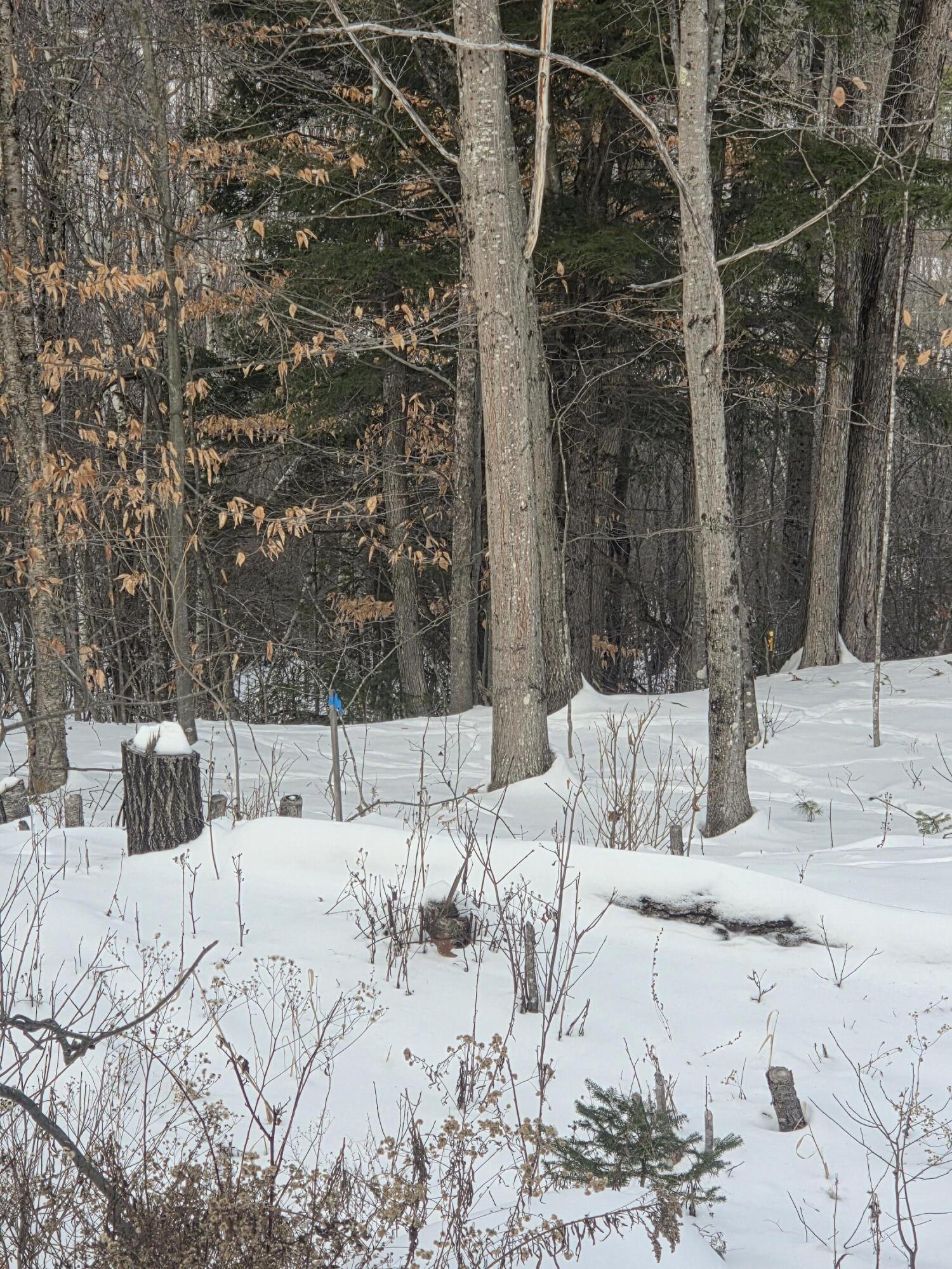 22 East Dixfield Road Dixfield, ME 04224 - Photo 5 of 13 20251217_132320