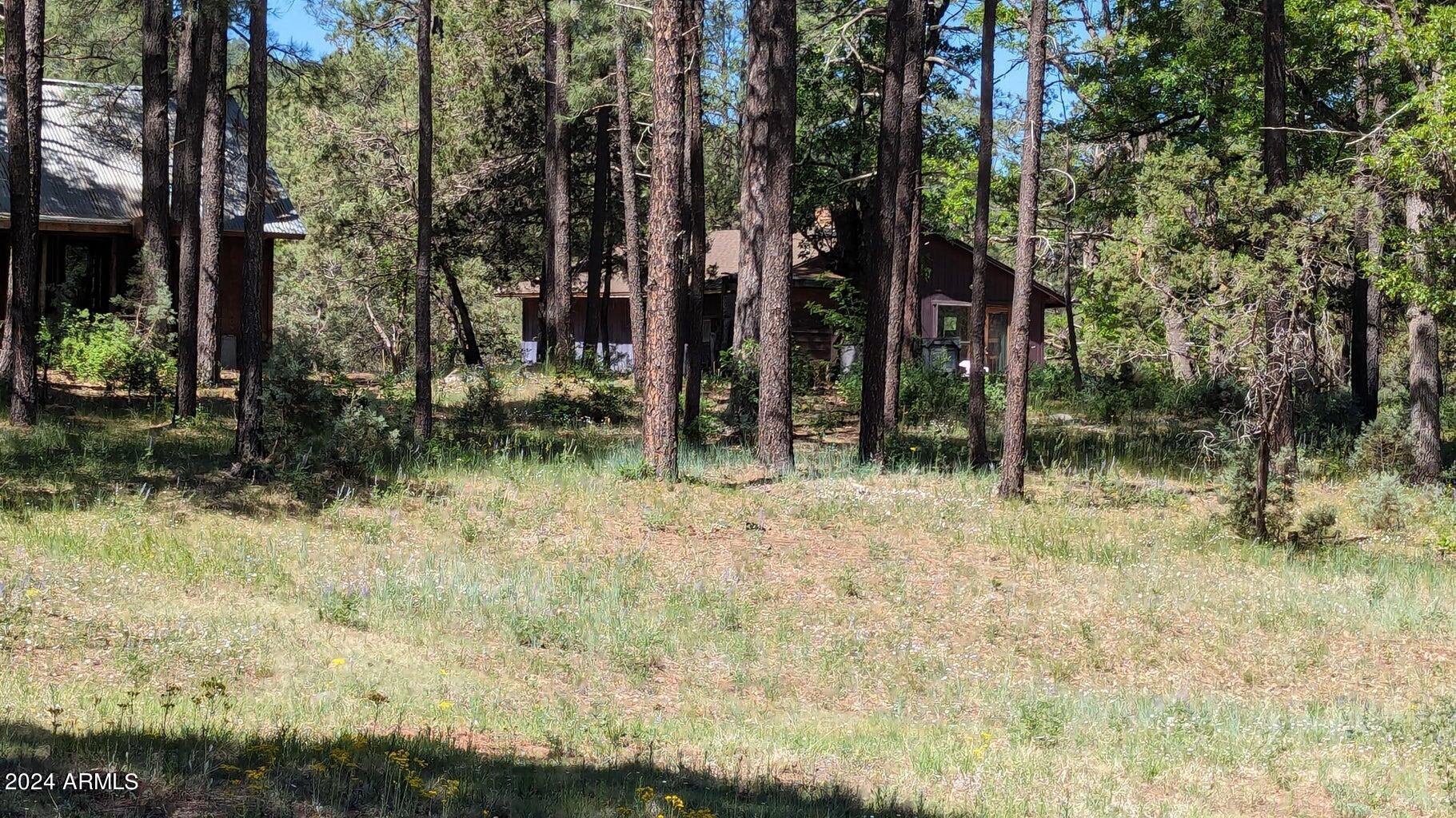3442 East Colcord Road Payson, AZ 85541 - Photo 1 of 47 Main House