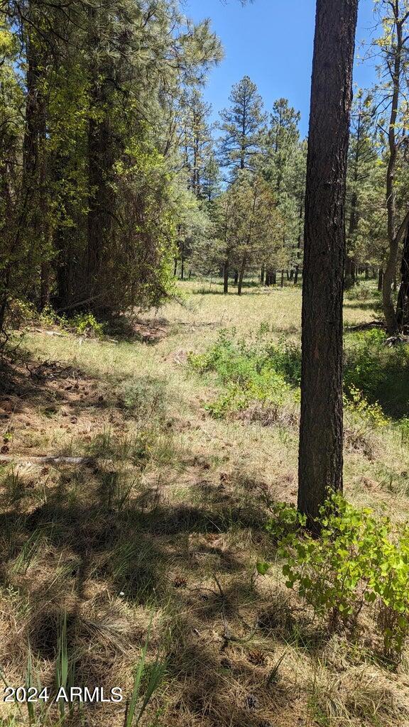 3442 East Colcord Road Payson, AZ 85541 - Photo 11 of 47 n10