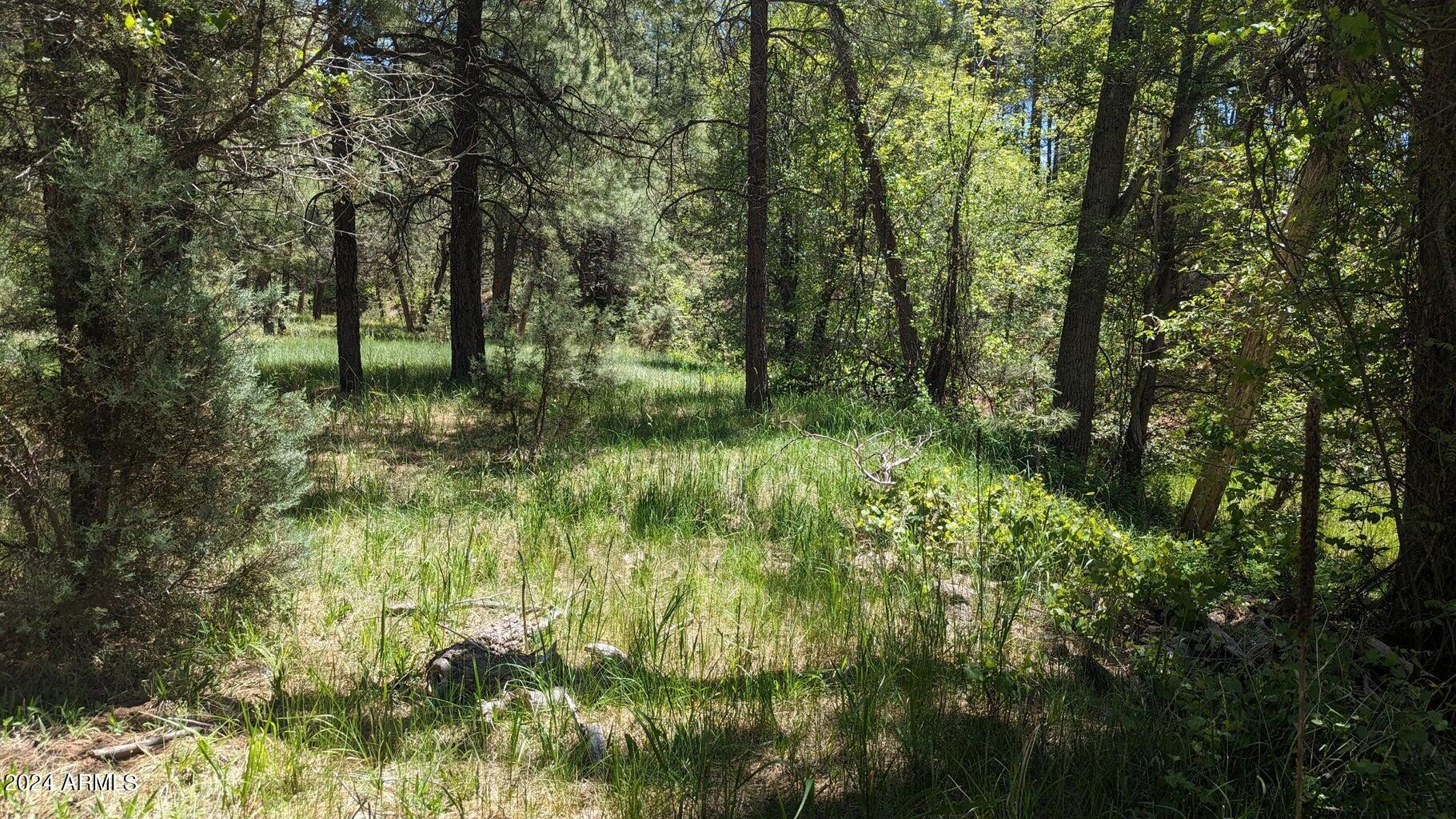 3442 East Colcord Road Payson, AZ 85541 - Photo 13 of 47 n13