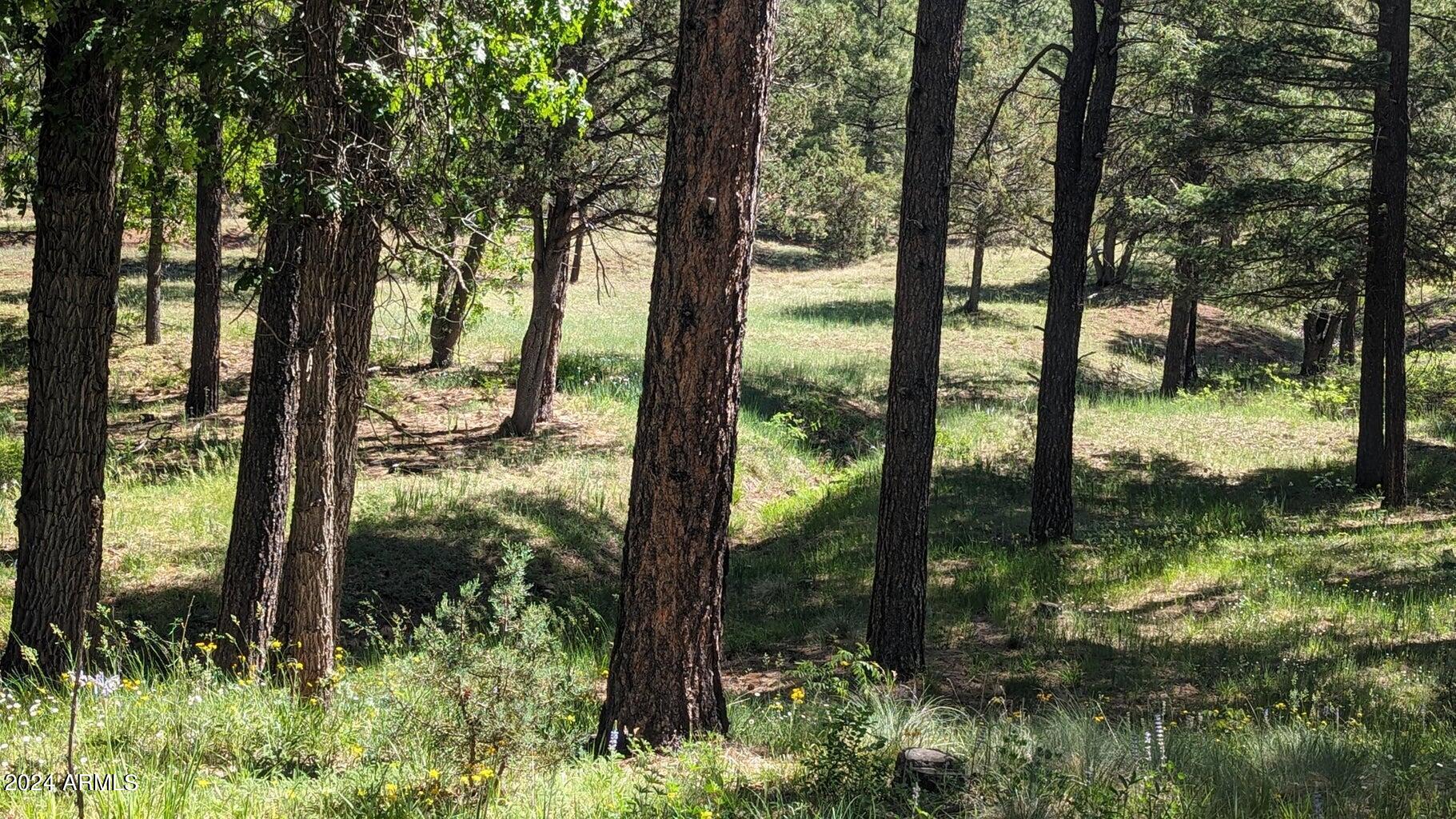 3442 East Colcord Road Payson, AZ 85541 - Photo 15 of 47 n15