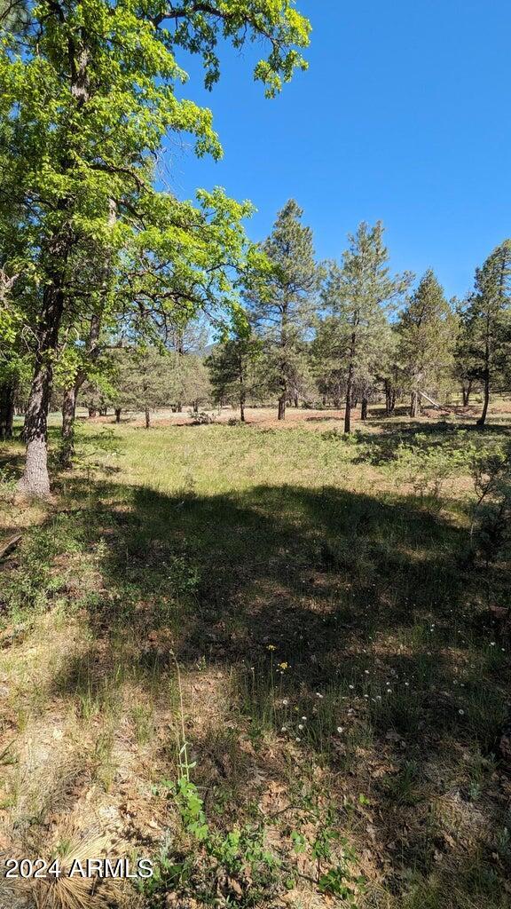 3442 East Colcord Road Payson, AZ 85541 - Photo 16 of 47 n16