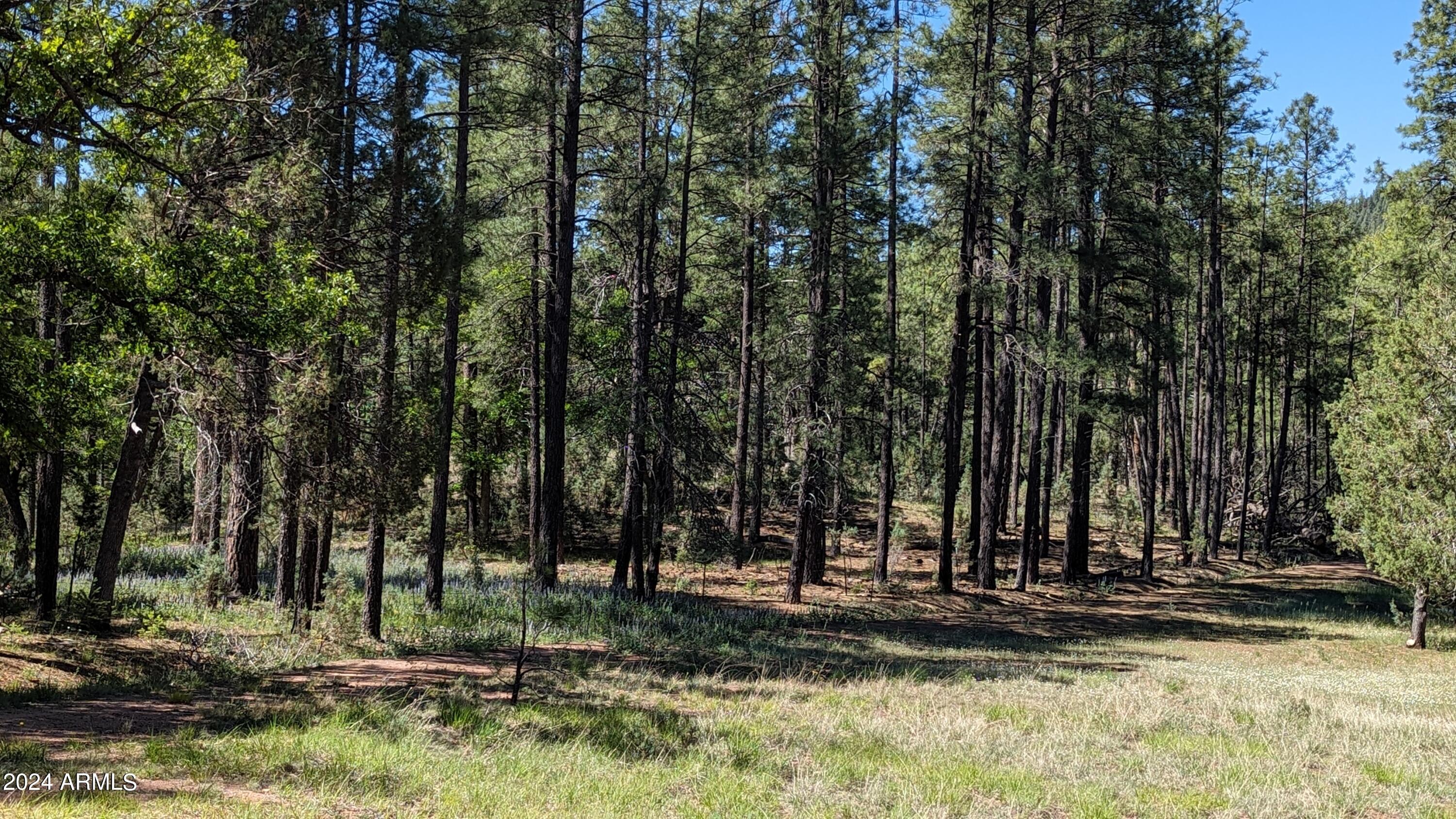 3442 East Colcord Road Payson, AZ 85541 - Photo 20 of 47 2 norris