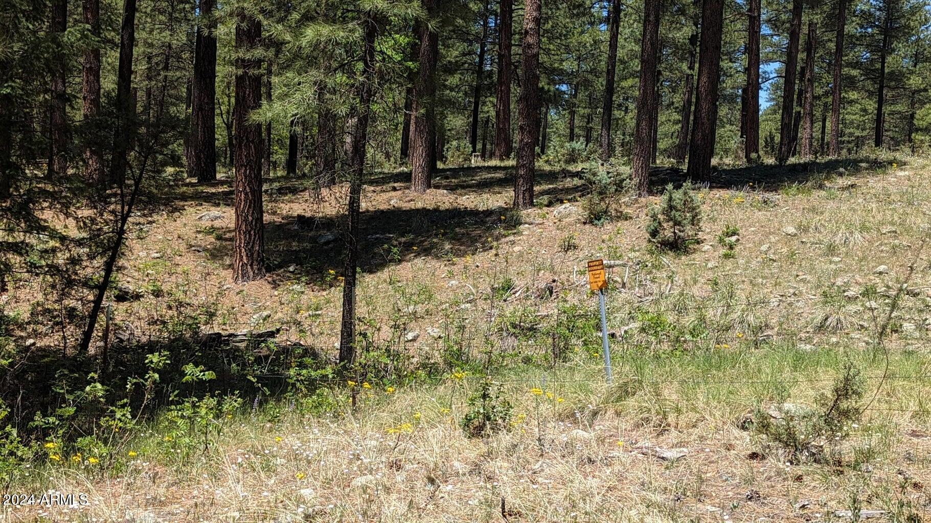 3442 East Colcord Road Payson, AZ 85541 - Photo 24 of 47 n21