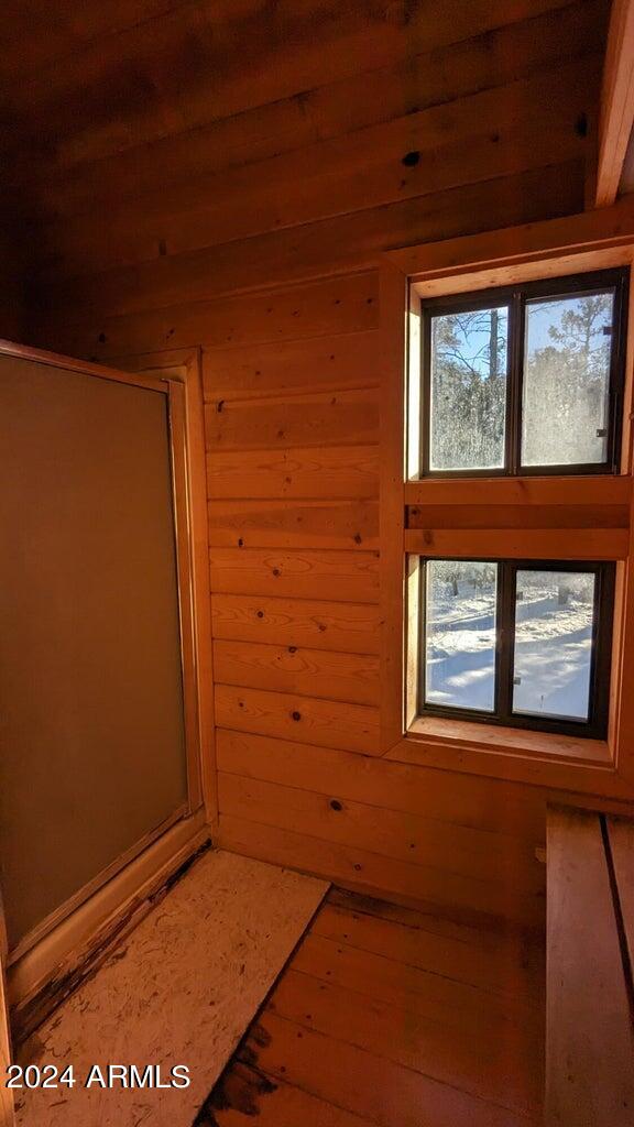 3442 East Colcord Road Payson, AZ 85541 - Photo 38 of 47 Shower #2