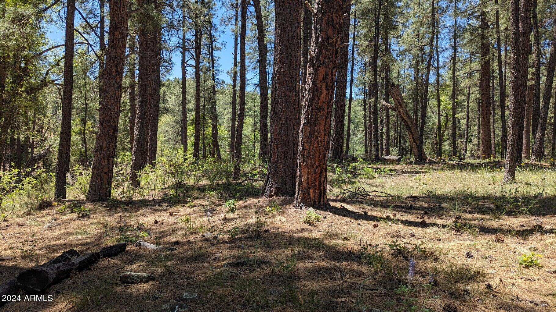 3442 East Colcord Road Payson, AZ 85541 - Photo 9 of 47 n8