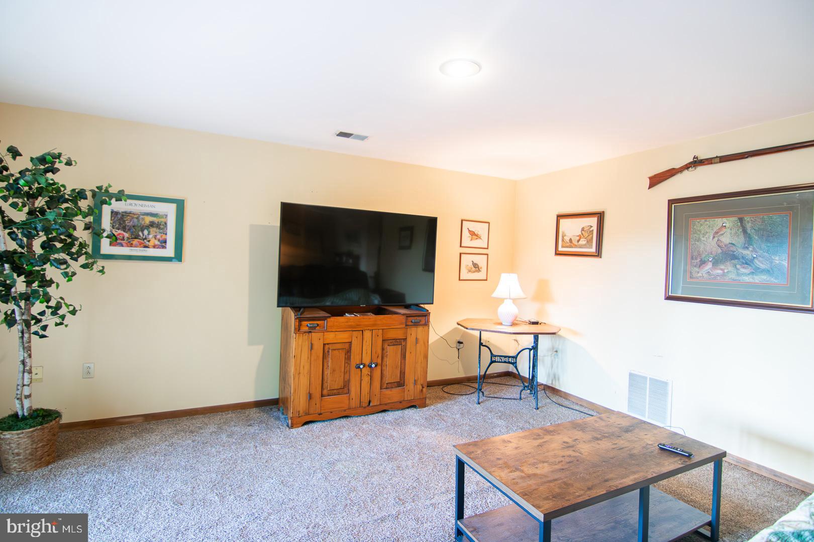 12323 Itnyre Road Smithsburg, MD 21783 - Photo 94 of 146 Gallery Image 94