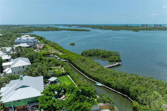 a view of a backyard with potted plants and large trees
