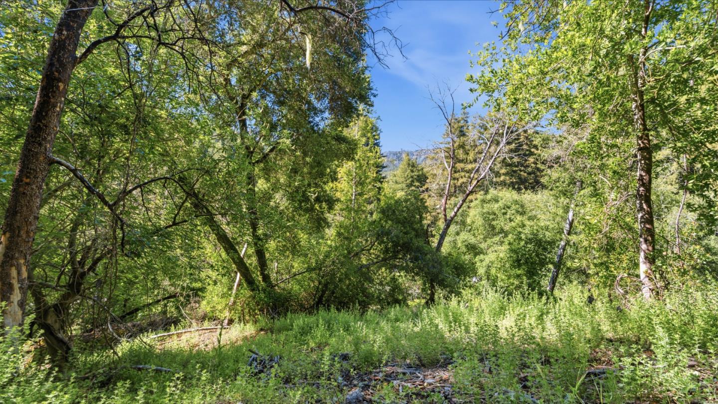 360 Rincon Way Boulder Creek, CA 95006 - Photo 36 of 46
