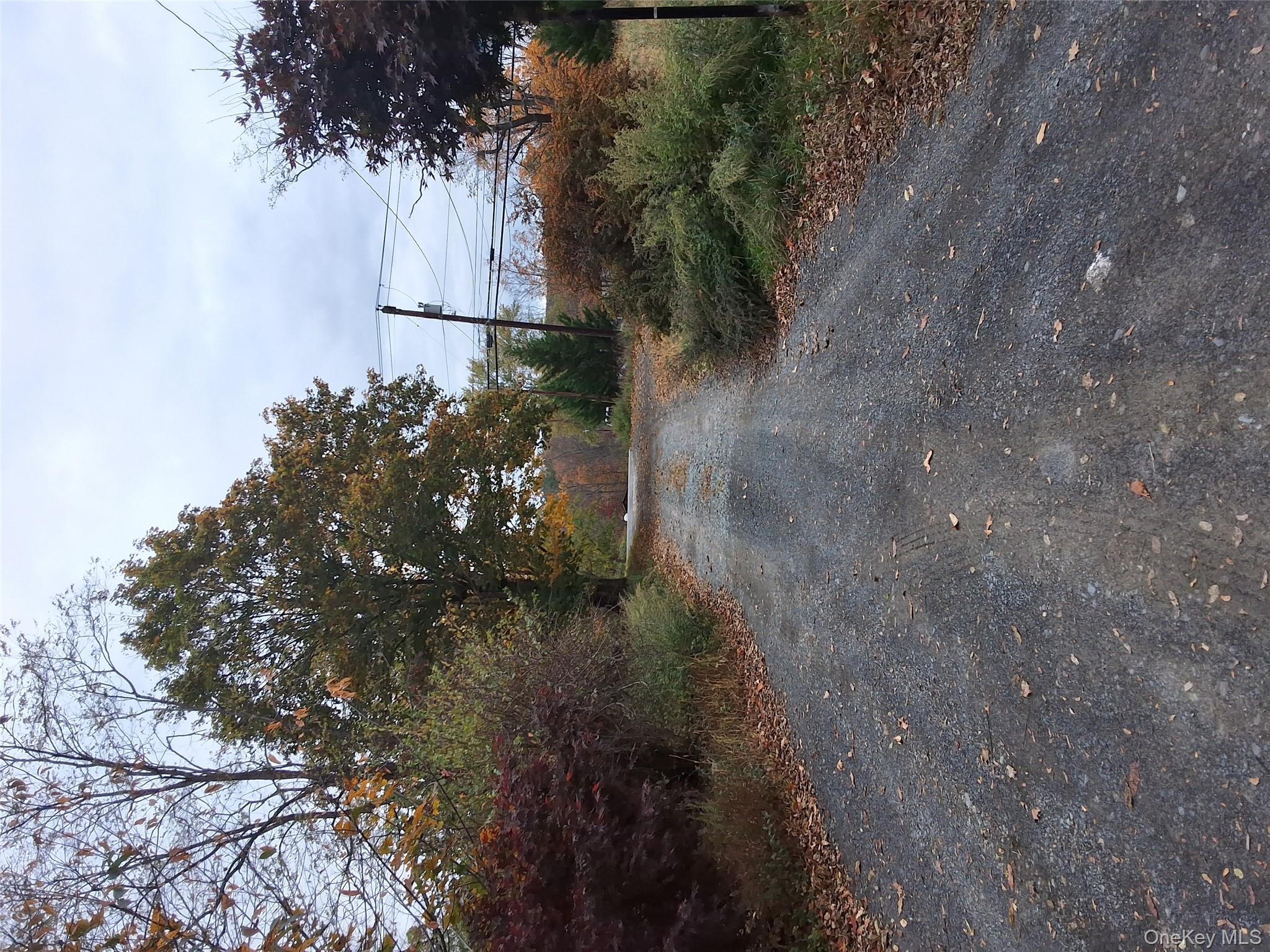 84 North Road Bloomingburg, NY 12721 - Photo 12 of 14 a view of a dirt road with large trees