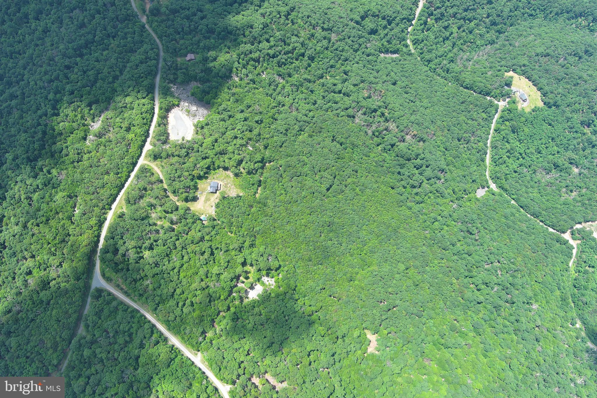 5982 South Branch Mountain Road Moorefield, WV 26836 - Photo 130 of 141
