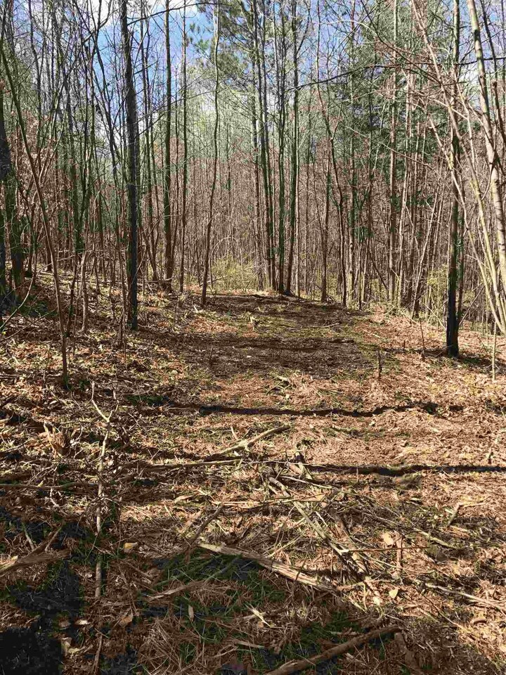 0 Dollie Phillips At And Atkinson Br Road Carnesville, GA 30521 - Photo 1 of 1 a view of a yard with trees