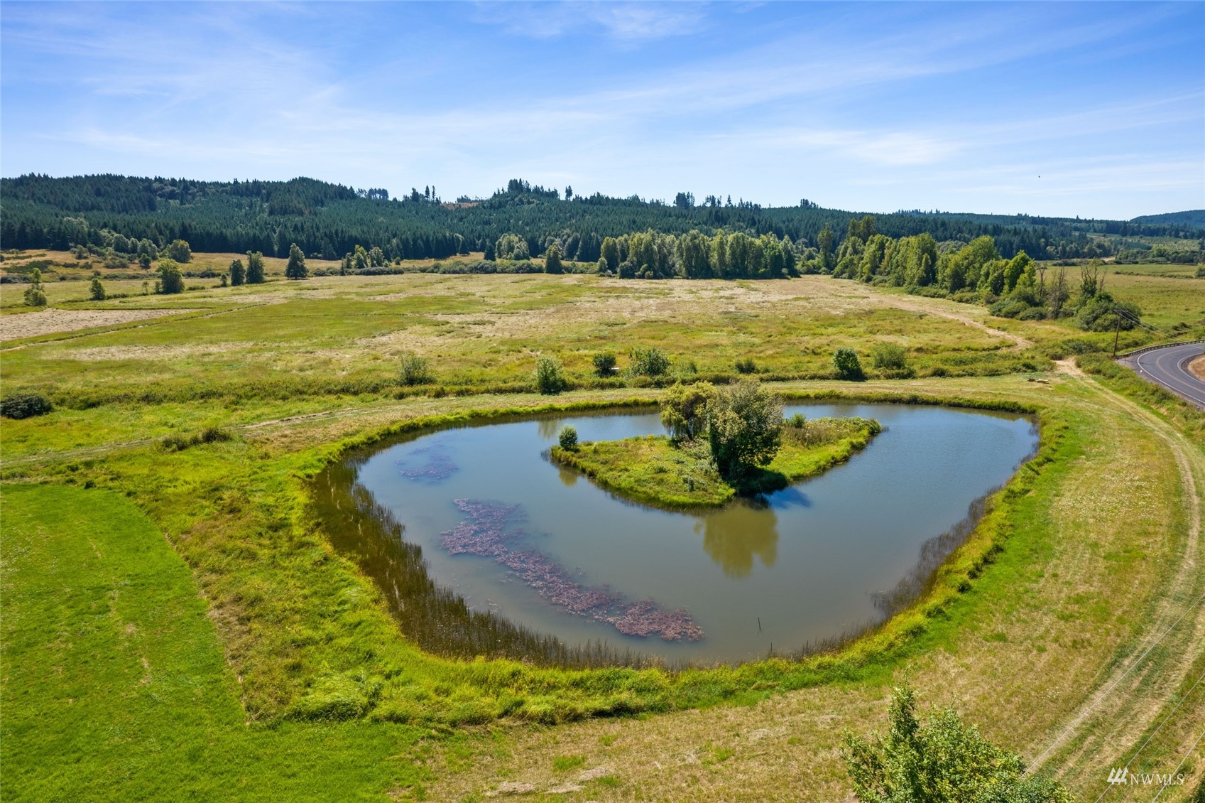 1503 Lincoln Creek Road Rochester, WA 98579 - Photo 26 of 28 a view of a lake with a mountain